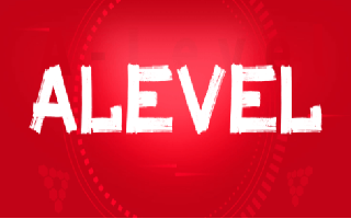 抉择时刻：A-LEVEL与DSE，家长与学生的升学路径探索