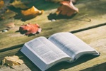 2018年四级翻译模拟练习：英语专八考试