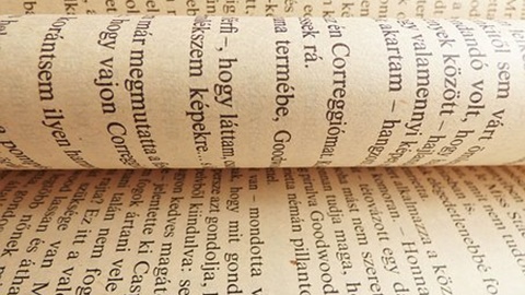 IB课程及种类的相关介绍