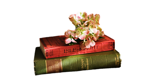 擦亮双眼!细数ib课程培训忽悠方法