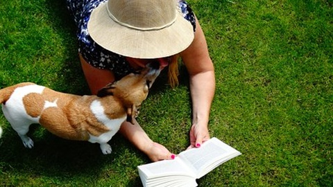 考研英语作文：必备20句经典收尾