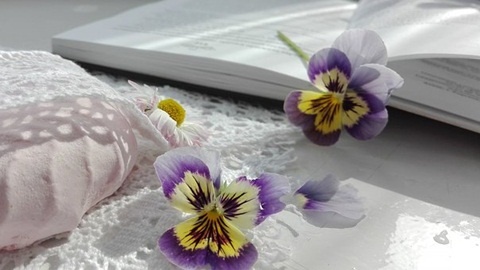 考研英语：提高阅读能力及解题能力的三大策略