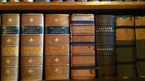 ib课程生物练习题 你答对了没