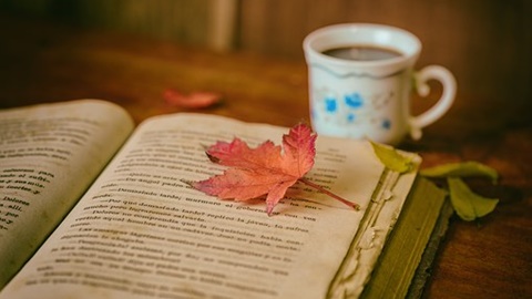 考研英语考前冲刺：各题型加分攻略