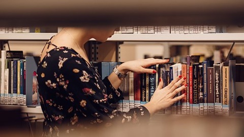 IB经济学课程注重灵活性