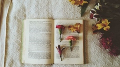 四级写作常用谚语汇总（1）