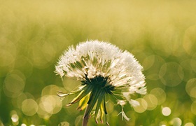 新加坡AEIS预备班有哪些优秀的院校？