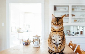 考研复试常见提问方式以及回答案例