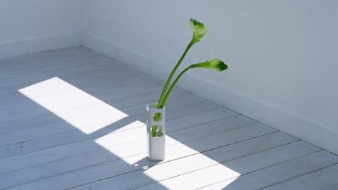 近年来去日本留学就业前景怎么样?