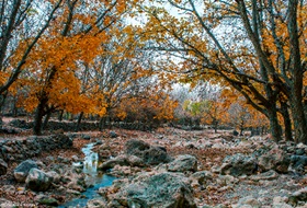 日语N2满分大神的独家备考经验