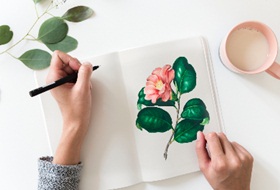 想要更改SAT2考试科目，这种情况该如何应该？