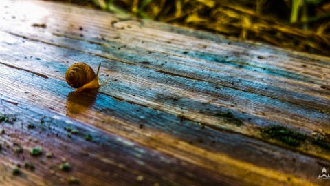 日语考试j.test注意这些要点！