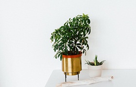 AEAS考试如何得到正确的培训辅导呢?