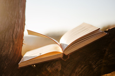 AEIS英语考试难？抓住重点事半功倍