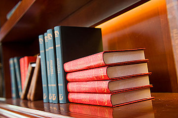 AEIS词汇：你是个合格的铲屎官吗？cat的有趣表达