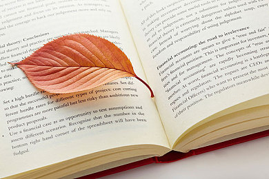 说说ACT英语考试中的二三事