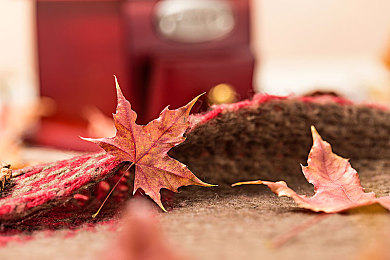 初识PTE，这些谣言你一定听过