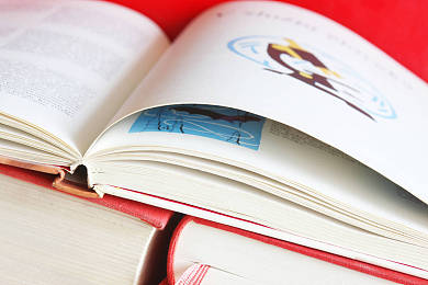 最难部分AEIS作文应该如何遣词造句？