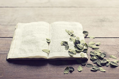 AEIS小词讲解：due简单小词大用法