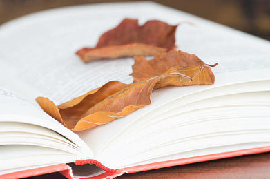 AEIS考试：智慧新加坡，科技教育将深入小学