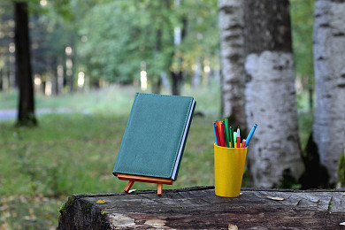 GMAT阅读主旨类题型，秒选答案？找准关键句