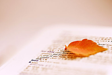 ACT数学满分技巧，除了细心还有它们要攻克