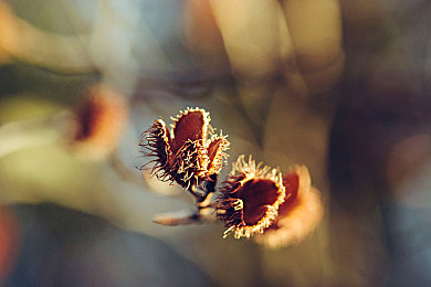 干货：AEIS英语中各种各样的后置定语都在这里了