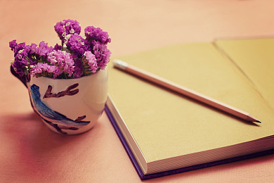 AEIS写作素材：手机是否可以代替书信