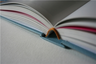 PTE八炸之路不可忽视的小细节——spelling分数