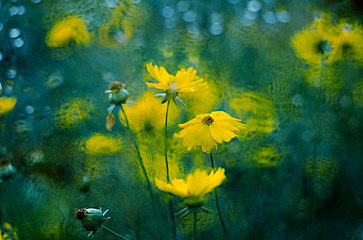 AEIS培训：“冬至”英语到底怎么说？