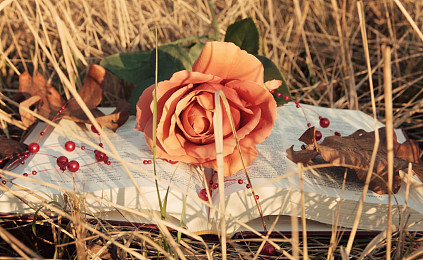 AEIS考试：新加坡教育为什么好？贯穿始终的这几个教育观念功不可没！