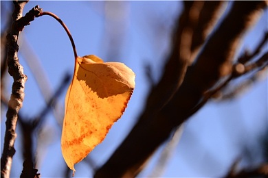AEIS语法笔记：情态动词的词法和句法特征