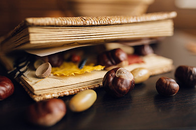 AEIS考试：新加坡正式开学啦，新学年学费你可知多少？