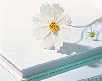 关于PTE阅读中的单选多选技巧