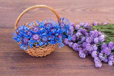 AEIS考试：网上公布新加坡小六会考数学题，这就是脑筋急转弯