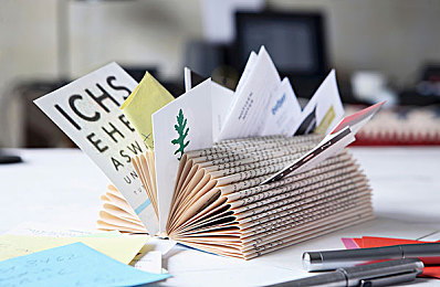 AEIS考试：低年级组别校际体育赛将进行调整！