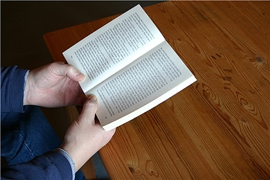 O-Level英语中对集合名词考察要点