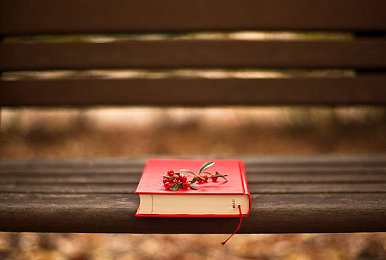 AEIS单词学习：起源于中国的英语词汇