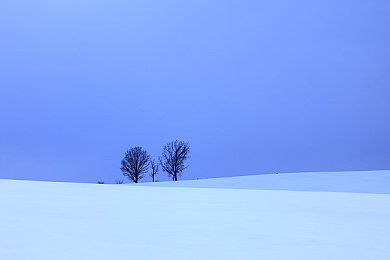 AEAS写作高分技巧：改换词汇和句子