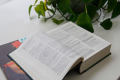 专题讲座：英国私立教育体系介绍与私立学校入学考试政策解读