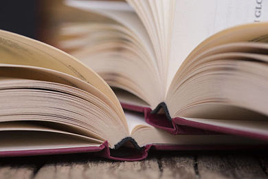 AEIS词汇：常见小词have的10中常用说法