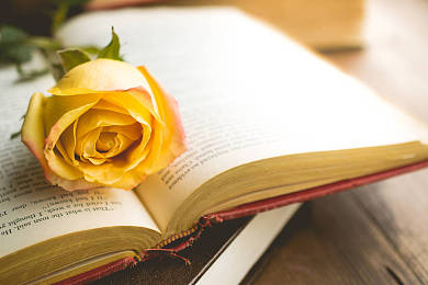 UKiset写作培训：语法主谓技巧运用好