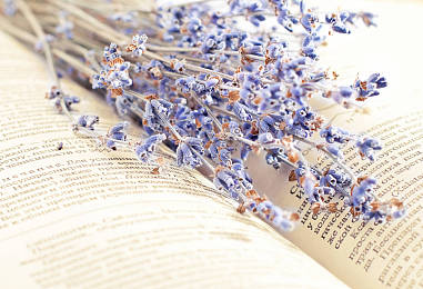  对于ACT机考而言，有什么好的建议吗？