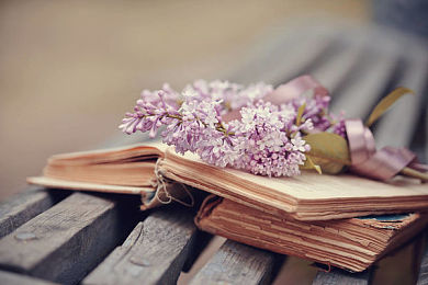 干货：如何避免AEAS写作错误观念