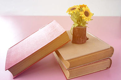 AEIS考试：苹果公司和新加坡学校合作开设课程，13岁男孩成功自制开发游戏APP！