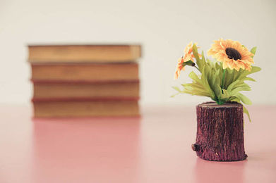 AEIS核心词汇辨析：“得体的”是“decent”还是“descent”？