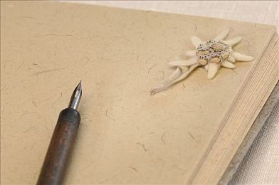 PTE考试：袋鼠竟然打人了？细数26件小事，一个未知的澳洲