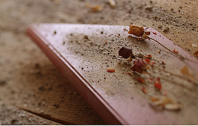 AEIS核心词汇辨析：“自信”是“confident”，“confidant”还是“confidante”？