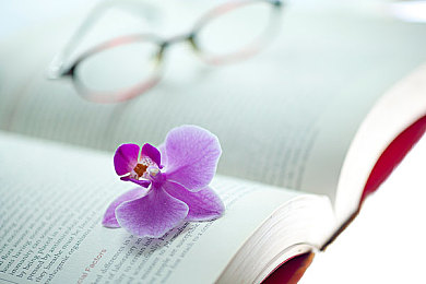 单词是AEIS“取胜”的关键，你知道如何大片记忆词汇吗?