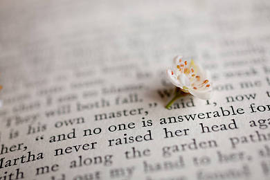 O-Level英语核心语法：助动词相关知识点